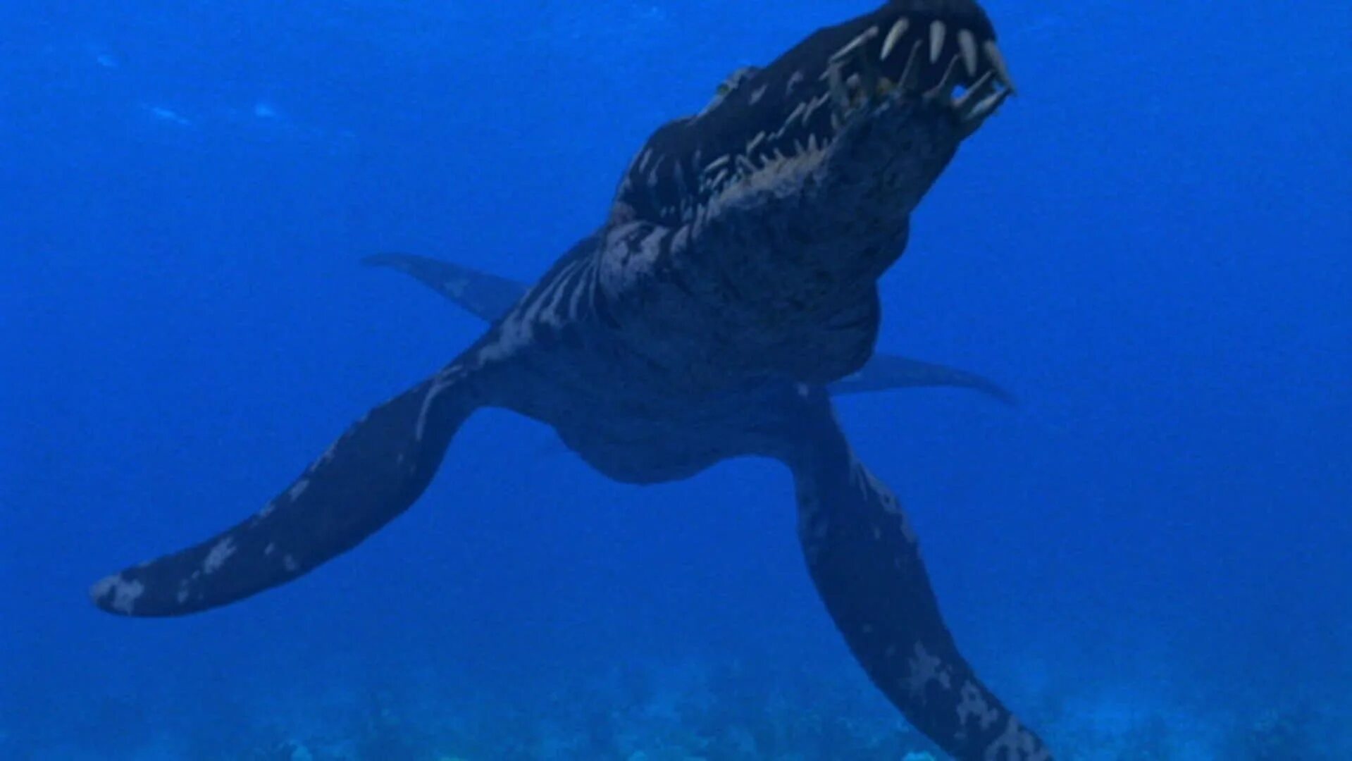 Кит зауропод argentinosaurus. Самое большое существо за всю историю земли. Самое большое существо жившее. Самые большие животные за всю историю земли. Какое самое большое животное из когда либо живших.