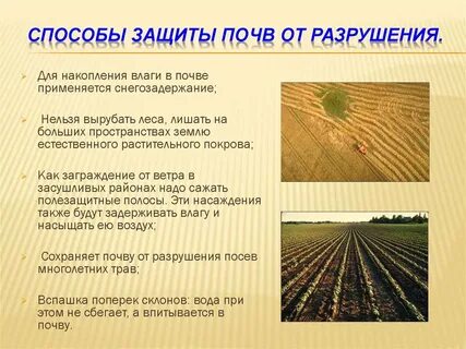 От чего следует защищать почву