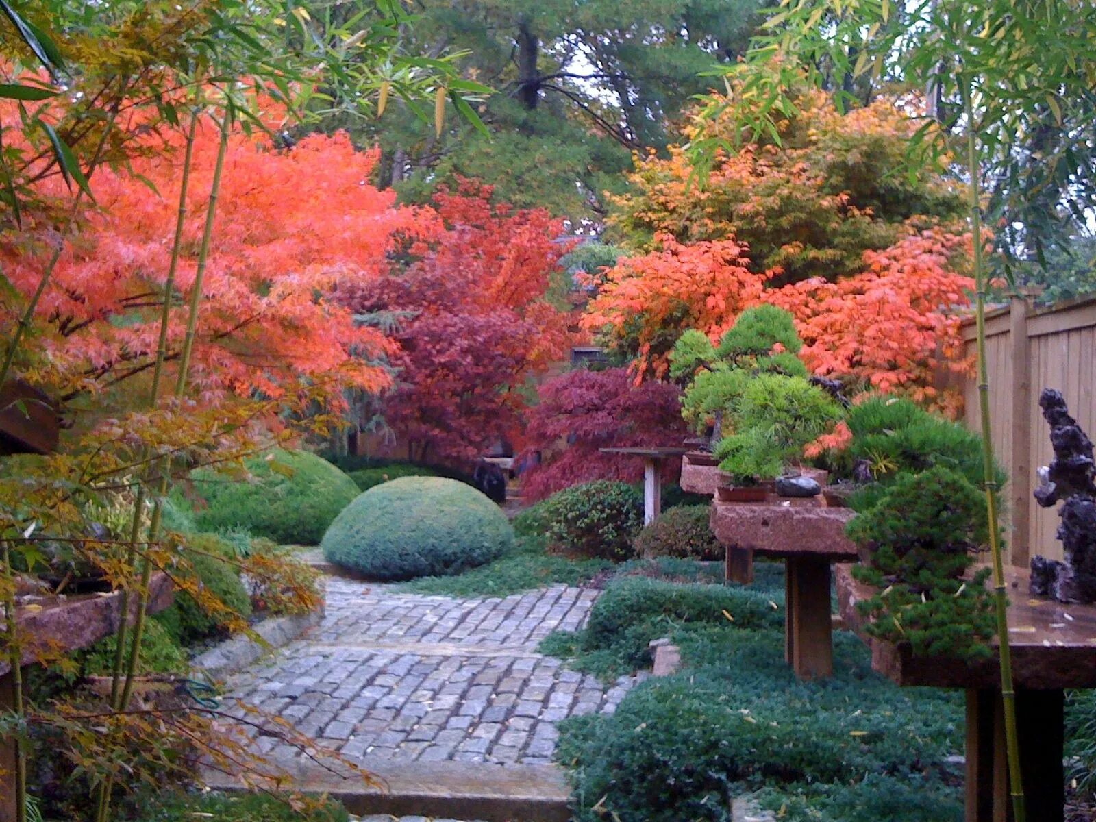 Ландшафтное искусство Японии сады цубо. Сады бонсай в Японии. Бонсай дерево в Японии в саду. Бонсай миниатюрные сады в Японии. Сады времен значение
