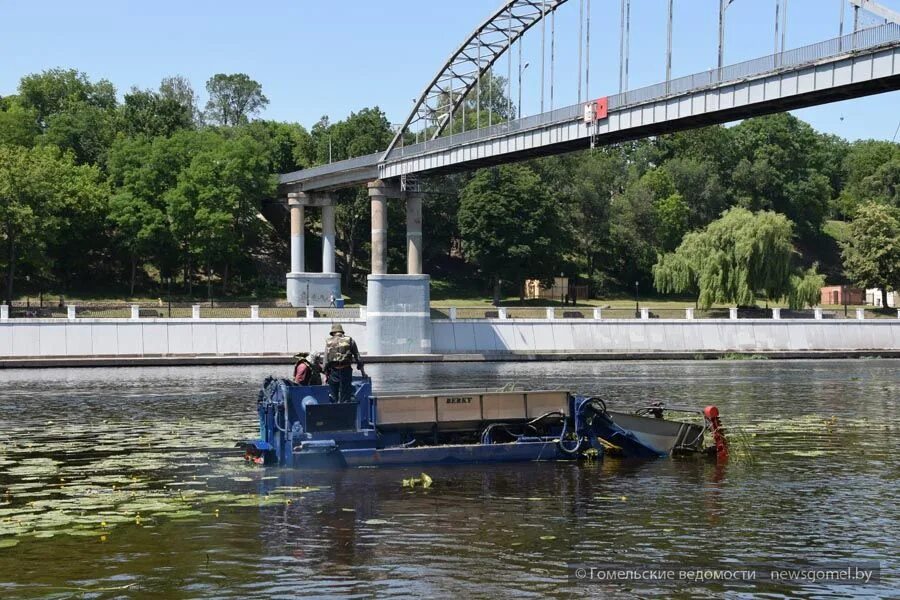 Уровень воды сож в славгороде сегодня реке. Гомель река СОЖ. Река СОЖ Гомель парк. Гомель река СОЖ Днепр. Река СОЖ В Беларуси.