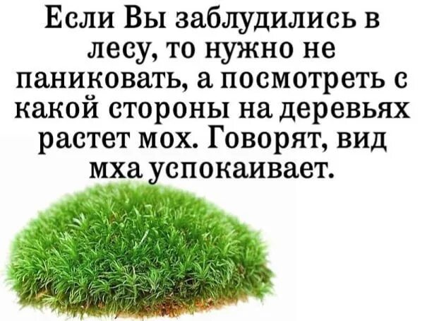 Зараставший как правильно