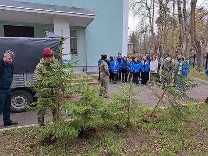 Лесничество логку ленобллес