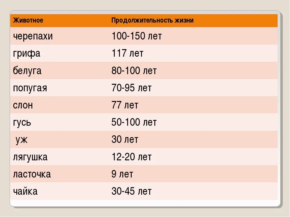 Сколько количество проживают. Сколько лет живут животные таблица. Продолжитенльностьжизни животных. Продолжительность жизни живот. Продолжительность жизни животных 1 класс.