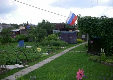 Снт 50 лет победы