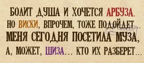 Шиза привет