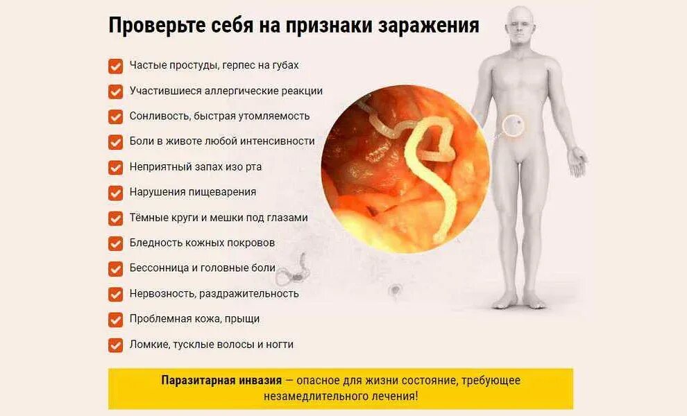 Как узнать симптомы глистов. Глистная инвазия симптомы. симптомы глистных инфекций. признаки заражения гельминтами.