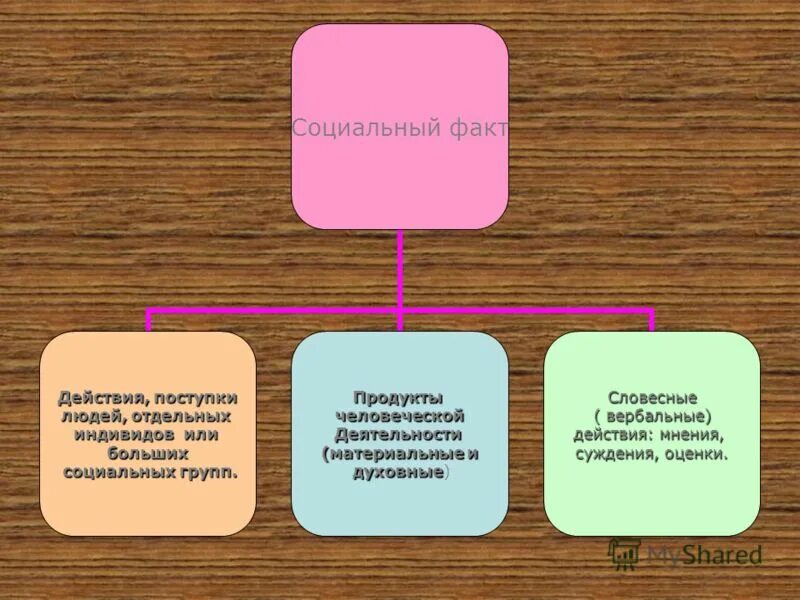 О данном факте можно