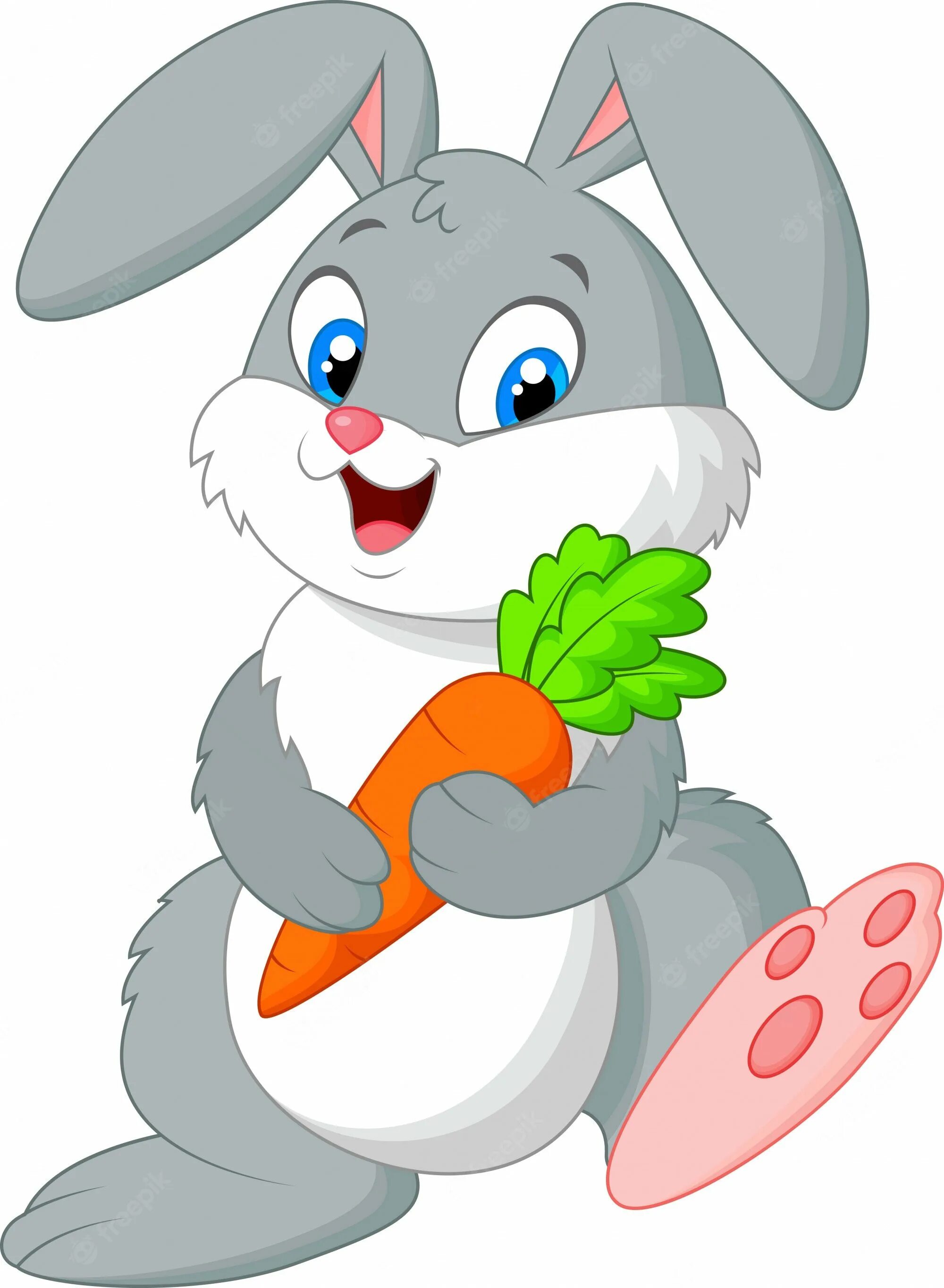 Зайки открыть. Зайчик с морковкой. Заяц для детей. Зайчик для дошкольников. Заяц мультяшный.