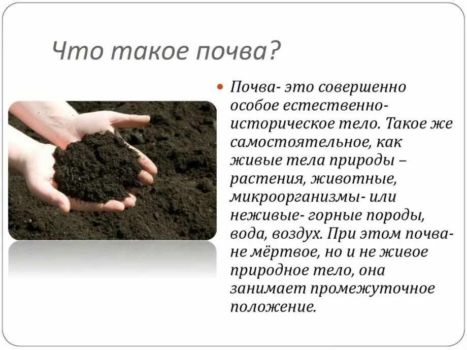 Почва особое природное тело. Интересные факты о почве для детей. Вещества слагающие земную кору. Минералы это в географии. Горные породы и минералы.