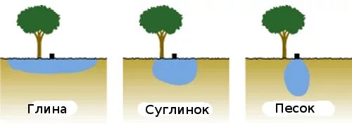 Впитывание воды в грунт. Глинистая почва вода. Почва пропускает воду. Впитываемость воды в почву. Глина пропускает воду