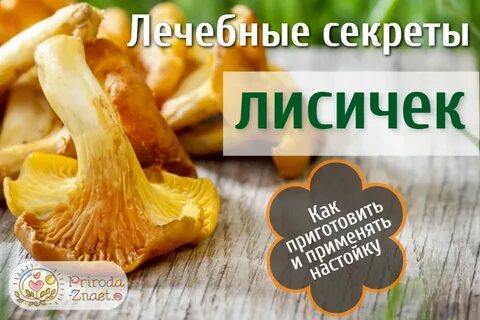 Настойка из лисичек