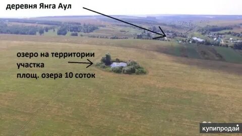Д янга аул
