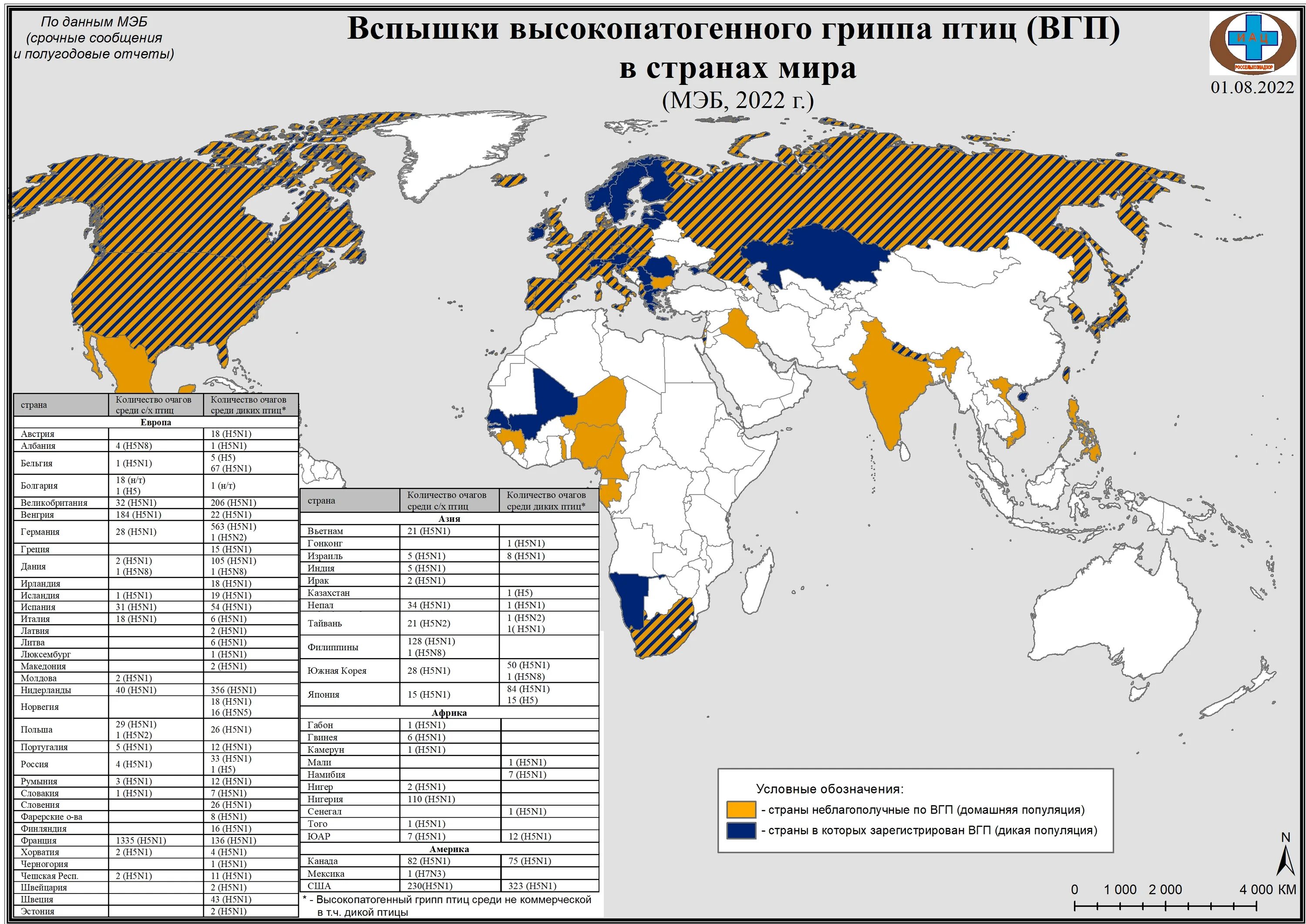 Птичий грипп статистика. Птичий грипп карта. Эпизоотическая обстановка. Эпизоотическая ситуация в России.