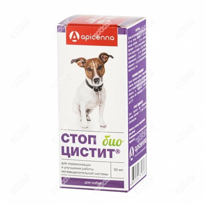 Стоп цистит для собак отзывы. Суспензия apicenna стоп-цистит био для собак, 50 мл. стоп-цистит био для собак 50 мл. стоп цистит с нитроксолином для собак. стоп цистит форте для собак.