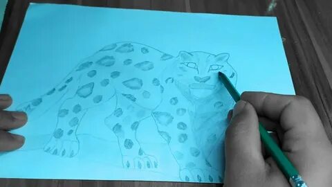 Анимацияның тік тұрған пенисі