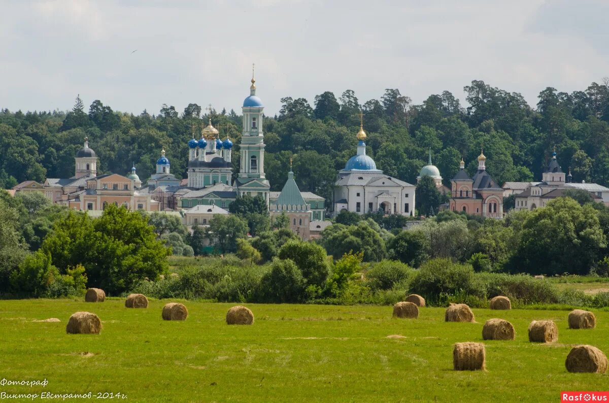 введенский ставропигиальный мужской монастырь оптина пустынь. свято-введенская оптина пустынь мужской монастырь. деревня оптина пустынь. козельский монастырь оптина пустынь. калуга монастырь оптина пустынь.