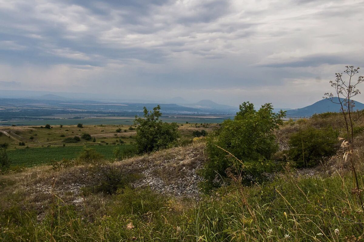 простор ставрополь. степи ставропольского края. курский район ставропольский край поле. степи ставропольского края. простор ставрополь.