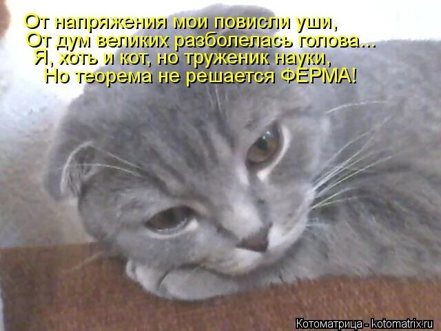 Разболелась голова жмут со всех. Разболелась. я разболелась. разболеешься.