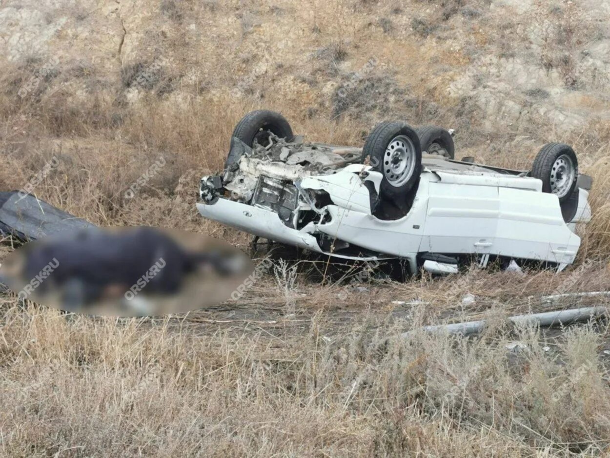 Сотрудники разбились. Авария на трассе Оренбург Орск. Авария на Гайской трассе.