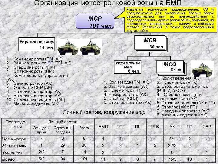 Сколько человек в одной дивизии