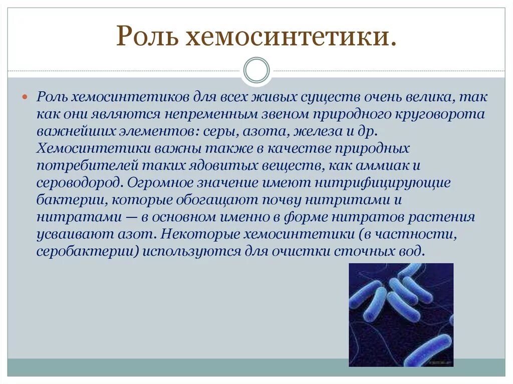 Хемосинтетики. Бактерии хемосинтетики. Хемосинтез бактерий. Виды хемосинтезирующих бактерий. Хемосинтезирующие бактерии характеризуются