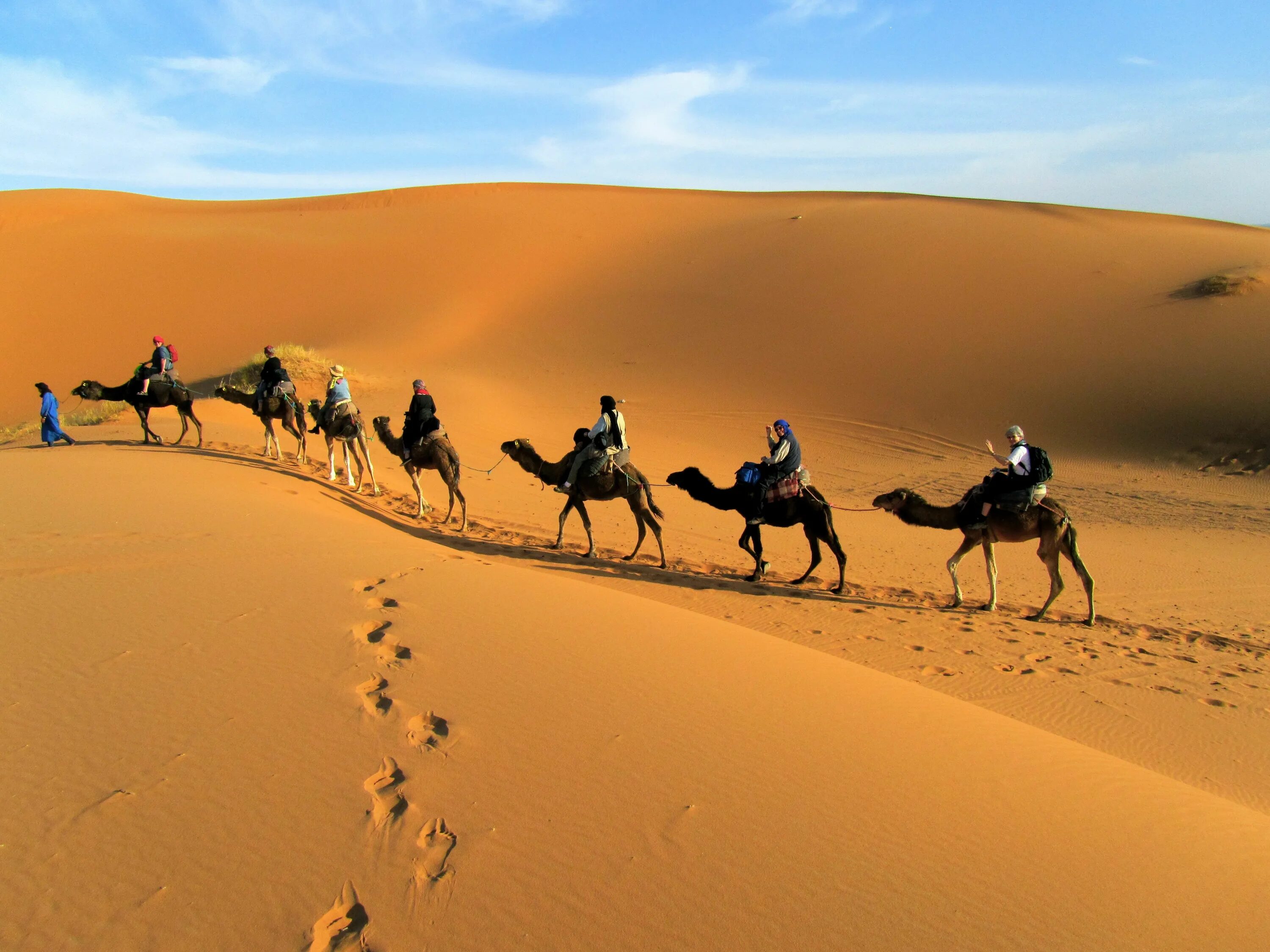 Караван движется. Марокко Караван. Саудовская Аравия пустыня с верблюдами. Верблюд в пустыне. Верблюд в сахаре.