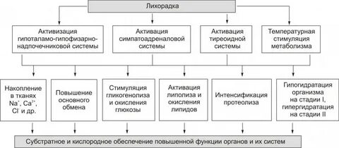 Состав налоговых льгот