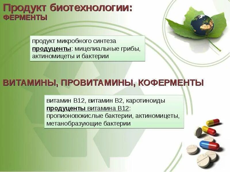 Биотехнологии в пищевой промышленности. Продукты биотехнологии. Биотехнологии в сельском хозяйстве. Биотехнологии в пищевой отрасли. Продукты биотехнологии примеры.