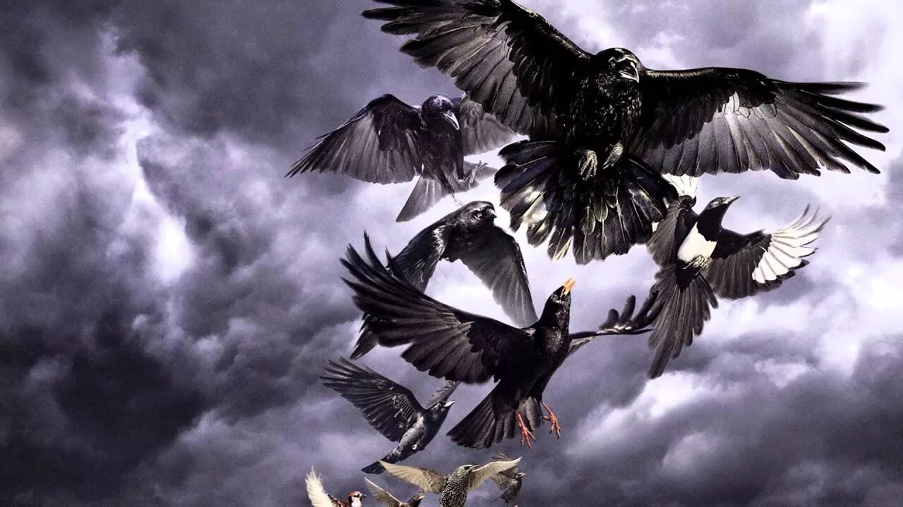 David lock. David gilmour rattle that lock 2015. rattle that lock дэвид гилмор обложка. david gilmour, альбом rattle that lock, 2015. david gilmour rattle that lock обложка.