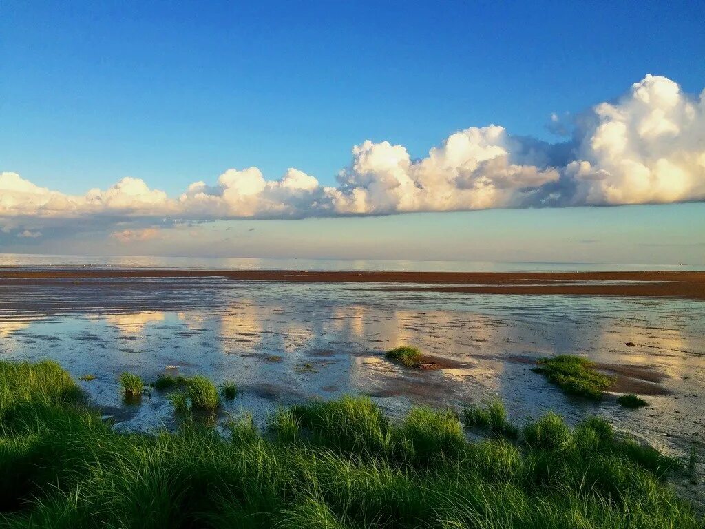 Великий новгород оз ильмень. Погода в еруново новгородская область. Река ильмень. Озеро ильмень старая русса. Озеро ильмень рыбалка.