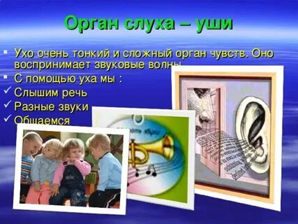 Сегодня день слуха