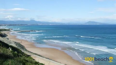 Cote des