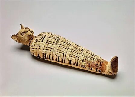 Кот мумия