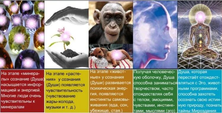 Этап души медиум что значит. Этап души медиум что значит. Медиумизм это простыми словами. Этап души медиум что значит. Этап души медиум что значит.