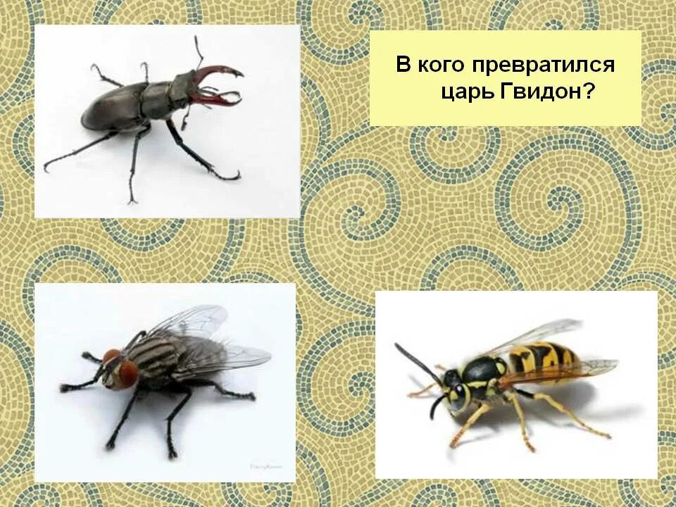 В кого превращается царь гвидон в сказке. В кого превращался гвидон. вкаво непровращался царь гвидон. в кого превращался. в кого превращался царь гвидон в кого превращался царь гвидон?.