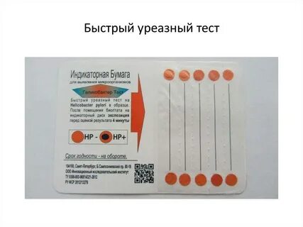 Уреазный экспресс тест