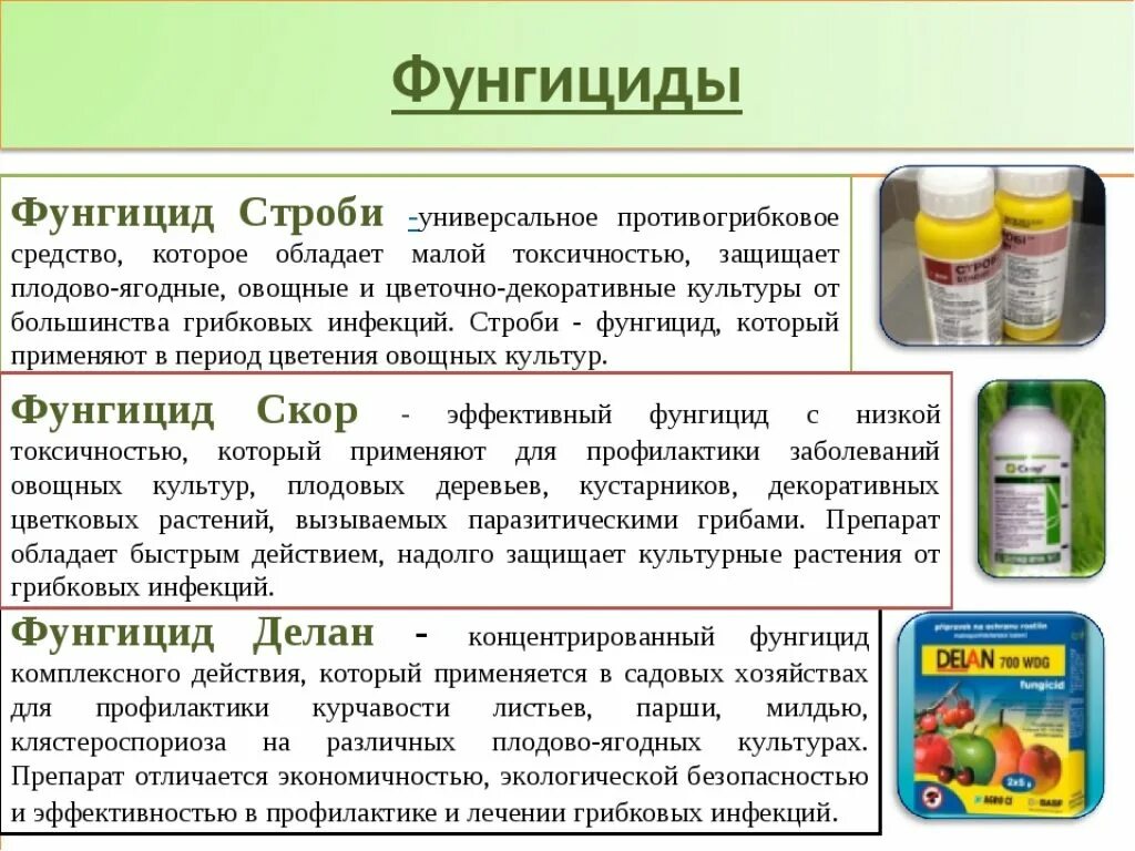 Фунгицид от каких болезней. Фунгицидные препараты. Препарат фунгицид. Противогрибковые средства для растений. Фунгицидные препараты для растений.