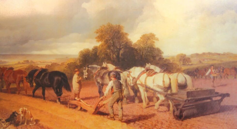 Маковский сенокос. Сельское хозяйство в англии 18 века. Сельское хозяйство 17 века. Ян брейгель старший деревенская улица. Сельское хозяйство в древней руси земледелие.