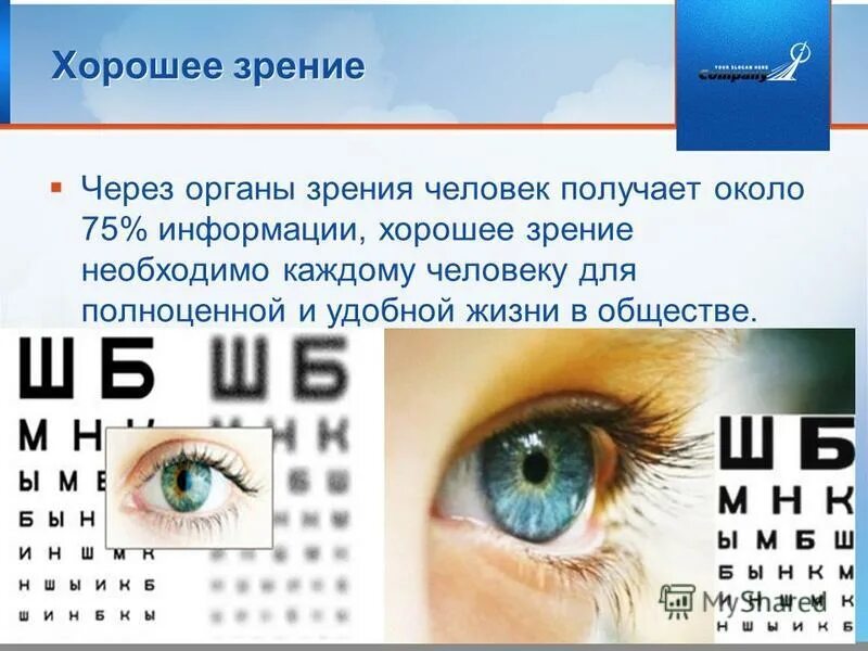 Зрение какое число. Зрение какое число