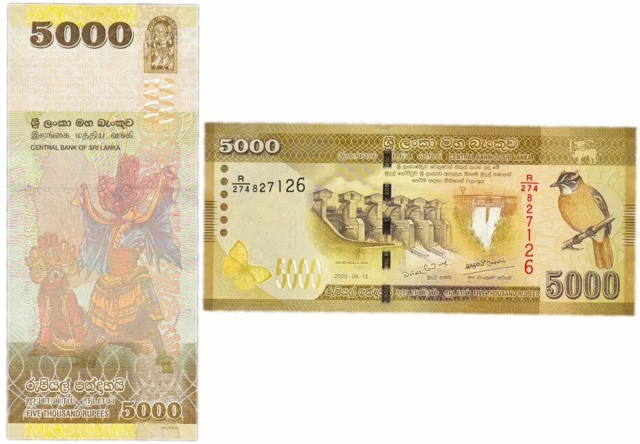5000 рупий. Банкноты Шри Ланки 5000. Банкнота 5000. Банкноты 2020.