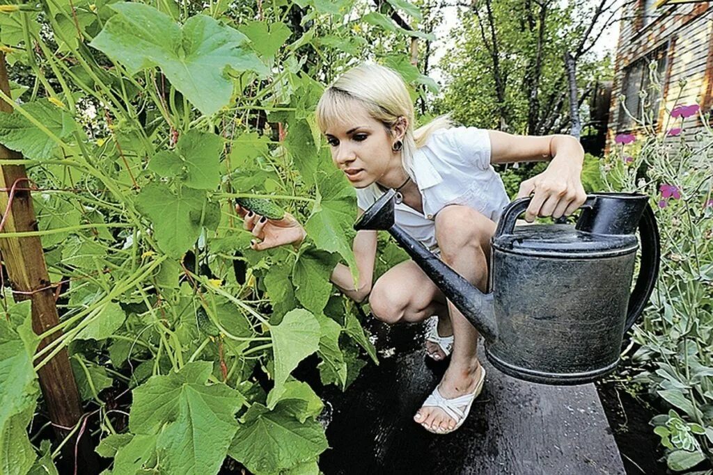 Девчонка на даче. Девчонки на даче. девушка на грядке. девки на грядках на даче. бабы в огороде.