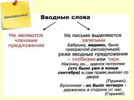 Как пишется видимо в предложении