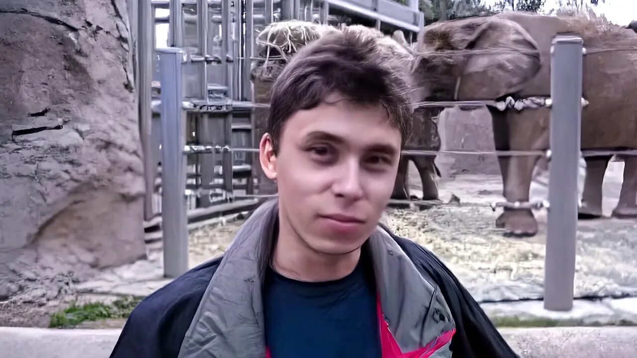 Просто первое видео. Jawed Karim 2005.