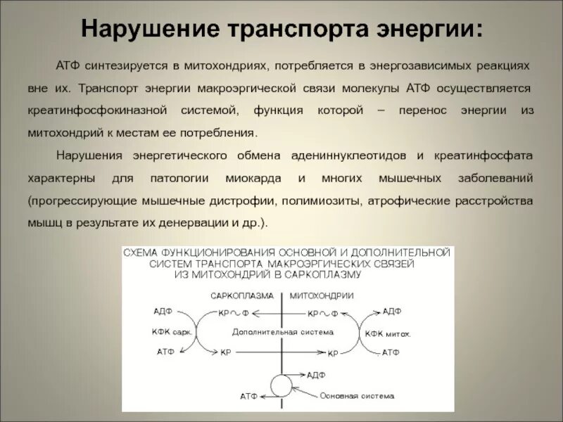 Нарушение атф. Связи в молекуле АТФ. Транспорт АТФ И АДФ через мембраны митохондрий. АТФ синтезируется в митохондриях. Расщепление макроэргических связей.