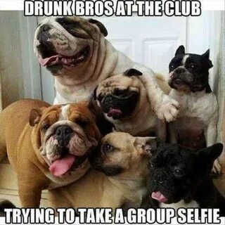 Drinking brothers