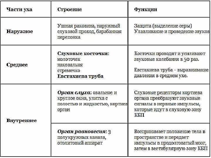 Орган чувств место расположения особенности строения функции. Таблица анализатор органы и функции. Таблица по биологии 8 класс анализаторы особенности строения. Вкусовой анализатор строение и функции таблица.