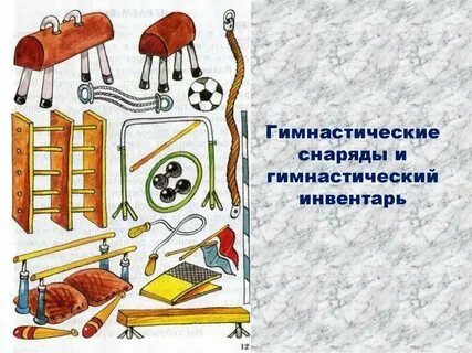 К гимнастическим снарядам относятся