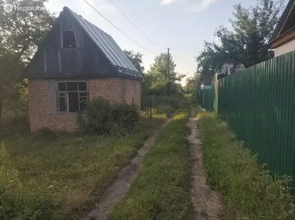 Дубки пенза садовое дачное товарищество пригородное 474