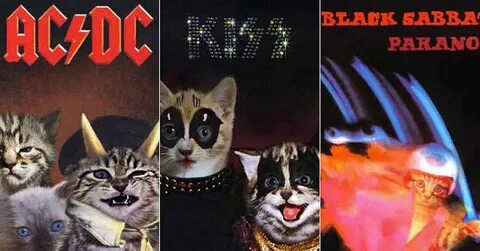 Rock cat записи