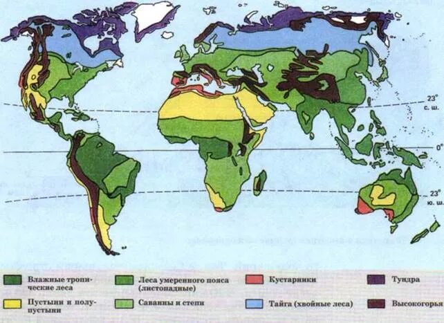 Биомы суши. Карту основные типы биомов суши. Карта распределения основных биомов суши..
